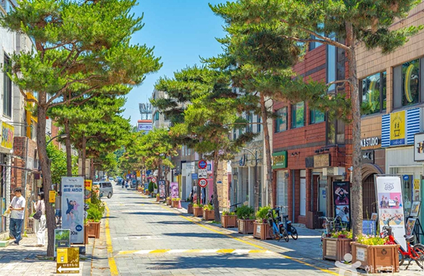 View of Haengnidan-gil Street