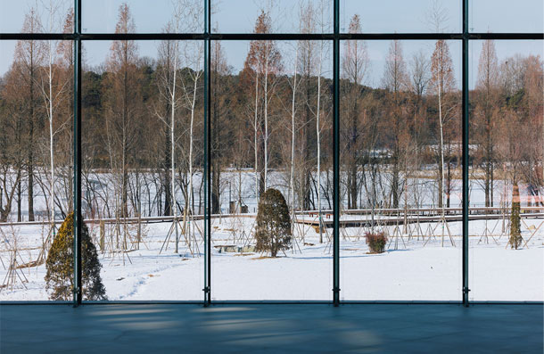 An indoor viewing space looking out through floor-to-ceiling glass at the snowy outdoor arboretum and metasequoia forest